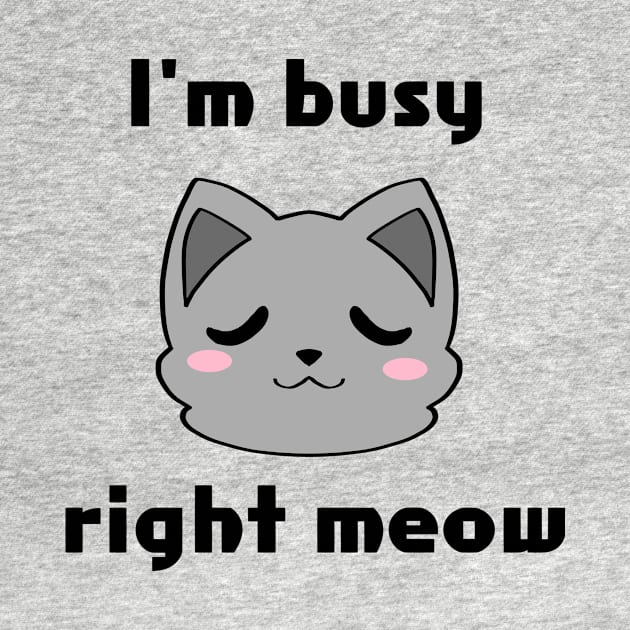 I'm Busy Right Meow by Ashe Cloud